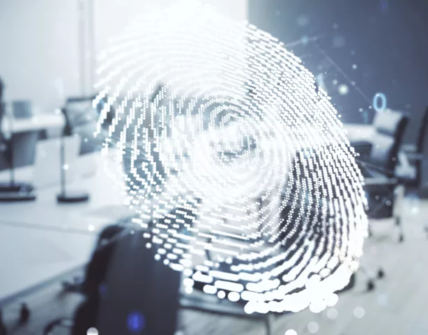 Falcão Detetives - Investigação Virtual em São Paulo e Detetive Particular na Grande SP